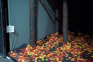 iluminacion y utileria