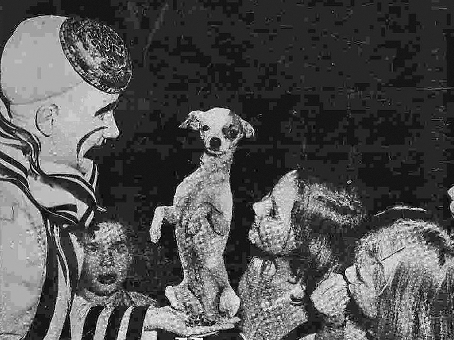 Fig. 14: Cubierta de Un mes con el circo (1955), de Alfredo Marqueríe.