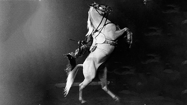 Fig. 2: La amazona barcelonesa Paulina Andreu (Paulina Schumann) exhibiendo en silla de dama la encabritada (courbette) de su caballo Youssuf. (Velodrome d’Hiver, París, 1963). Procedencia: Archivo Jordi Jané.