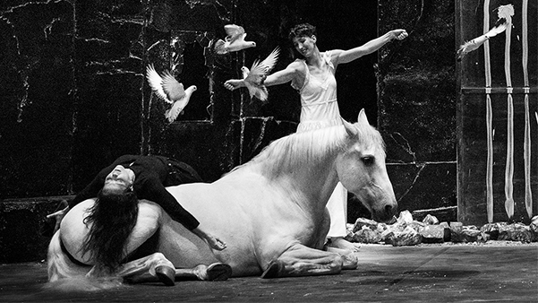 Fig. 3: Falaise, por Baró d’Evel. Procedencia: Web del Teatre Lliure, https://www.teatrelliure.com/es/falaise-23-24