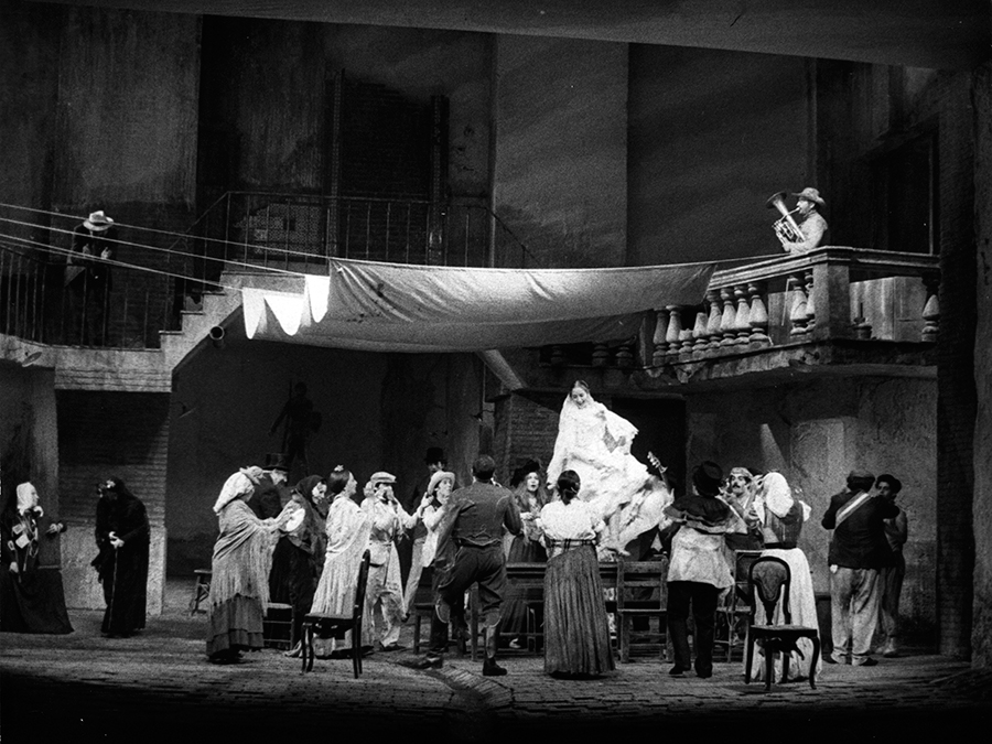 Fig 10: Flor de Otoño - 2005 - foto Mercedes Rodríguez (1)