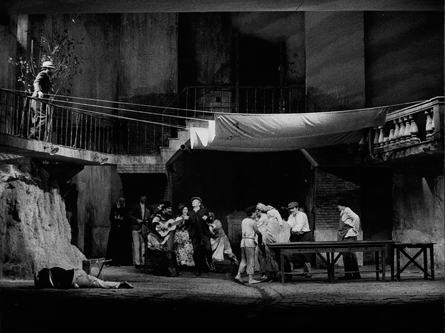 Fig 11: Flor de Otoño - 2005 - foto Mercedes Rodríguez (2)