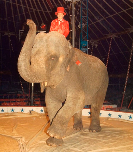 Manuel González Villanueva.